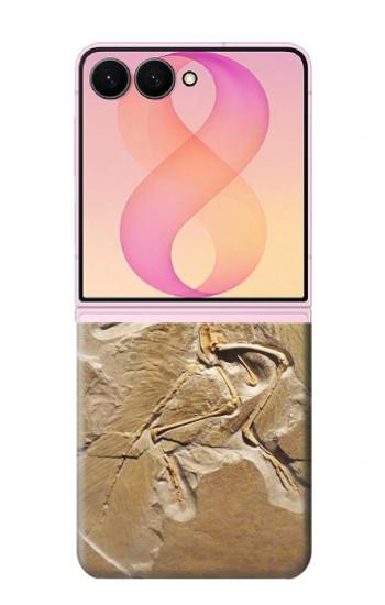 S0380 Dinosaur Fossil Case For Samsung Galaxy Z Flip 8