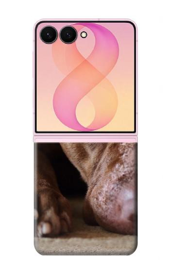 S0519 PitBull Face Case For Samsung Galaxy Z Flip 8