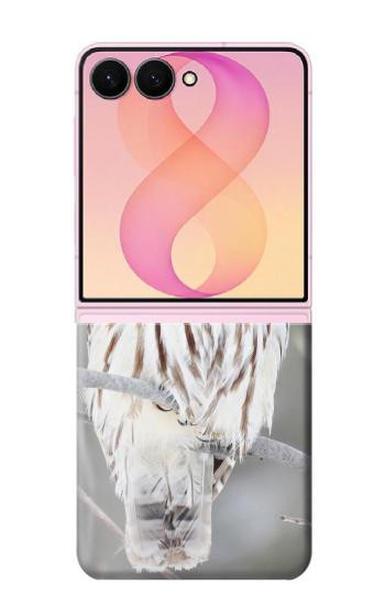 S1566 Snowy Owl White Owl Case For Samsung Galaxy Z Flip 8