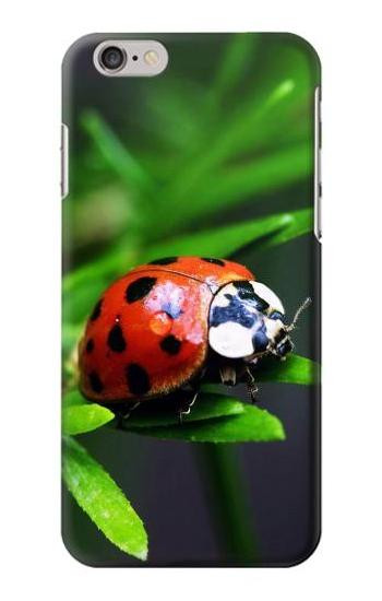 S0263 Ladybug Case For iPhone 6 6S