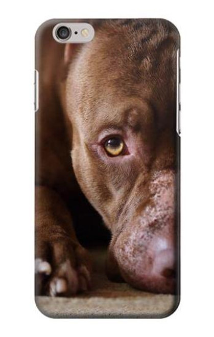 S0519 PitBull Face Case For iPhone 6 6S