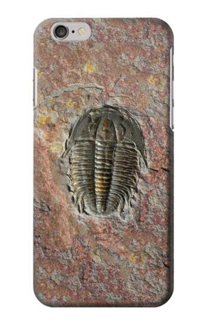 S1454 Trilobite Fossil Case For iPhone 6 6S