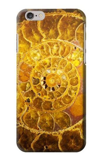 S1789 Ammonite Fossils Case For iPhone 6 6S
