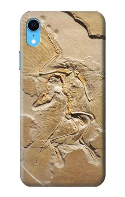 S0380 Dinosaur Fossil Case For iPhone XR