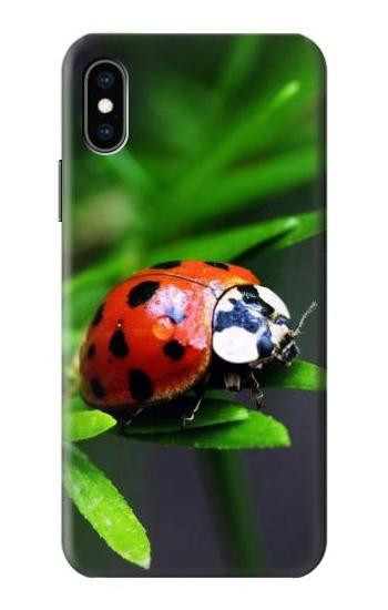 S0263 Ladybug Case For iPhone X, iPhone XS