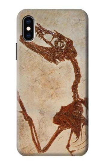 S0379 Dinosaur Fossil Case For iPhone X, iPhone XS