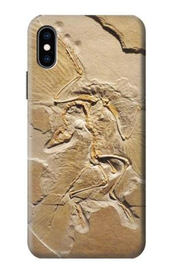 S0380 Dinosaur Fossil Case For iPhone X, iPhone XS