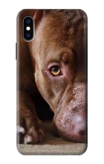 S0519 PitBull Face Case For iPhone X, iPhone XS