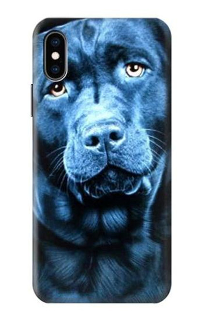 S0750 Labrador Retriever Case For iPhone X, iPhone XS