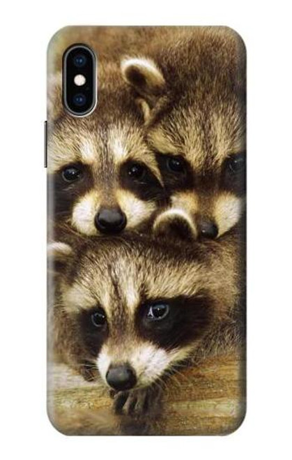 S0977 Baby Raccoons Case For iPhone X, iPhone XS