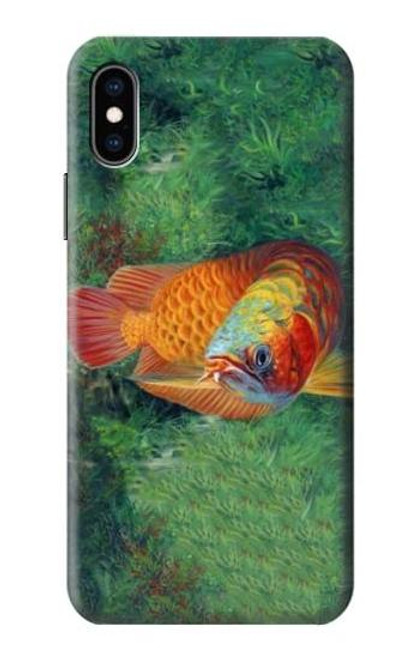 S1157 Red Arowana Fish Case For iPhone X, iPhone XS