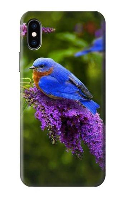 S1565 Bluebird of Happiness Blue Bird Case For iPhone X, iPhone XS