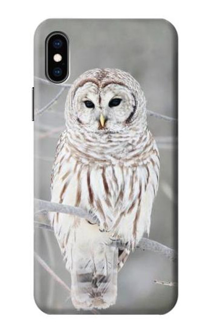 S1566 Snowy Owl White Owl Case For iPhone X, iPhone XS