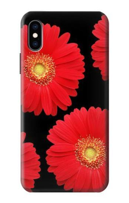 S2478 Red Daisy flower Case For iPhone X, iPhone XS