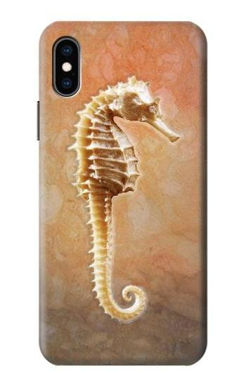 S2674 Seahorse Skeleton Fossil Case For iPhone X, iPhone XS