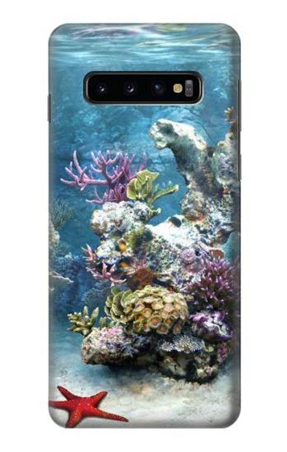 S0227 Aquarium 2 Case For Samsung Galaxy S10