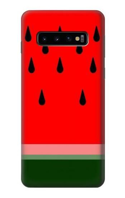 S2403 Watermelon Case For Samsung Galaxy S10