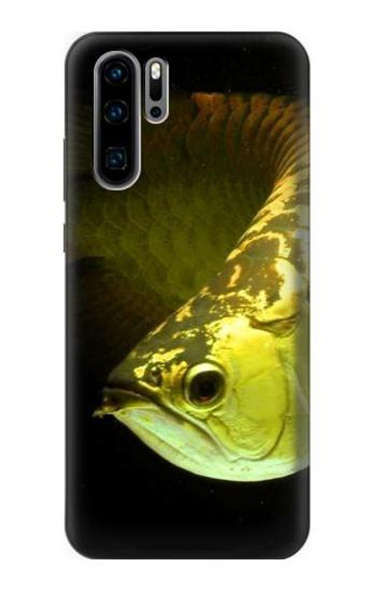 S1021 Gold Arowana Fish Case For Huawei P30 Pro