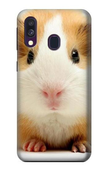 S1619 Cute Guinea Pig Case For Samsung Galaxy A40