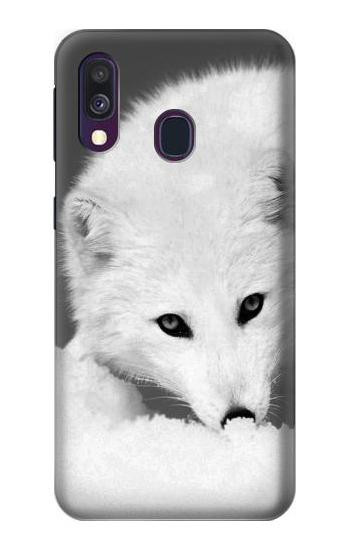 S2569 White Arctic Fox Case For Samsung Galaxy A40