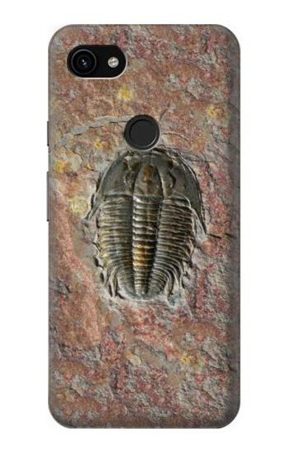 S1454 Trilobite Fossil Case For Google Pixel 3a XL