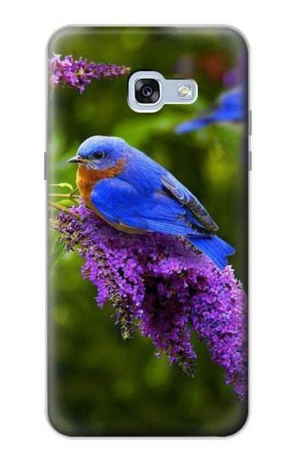 S1565 Bluebird of Happiness Blue Bird Case For Samsung Galaxy A5 (2017)