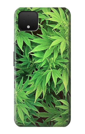 S1656 Marijuana Plant Case For Google Pixel 4