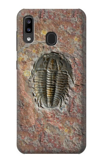 S1454 Trilobite Fossil Case For Samsung Galaxy A20, Galaxy A30