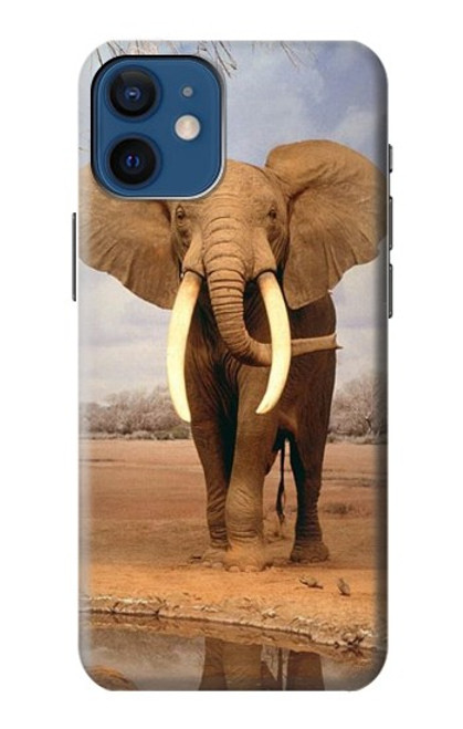 S0310 African Elephant Case For iPhone 12 mini