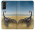 S0150 Desert Scorpion Case For Samsung Galaxy S21 Plus 5G, Galaxy S21+ 5G
