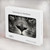 S1352 Lion Face Hard Case For MacBook 12″ - A1534