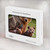 S3558 Bear Family Hard Case For MacBook Air 13″ - A1369, A1466