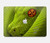 S0785 Green Snake Hard Case For MacBook Air 13″ - A1932, A2179, A2337