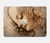 S1045 Leonardo da Vinci Woman's Head Hard Case For MacBook Pro Retina 13″ - A1425, A1502