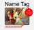 S1420 Saraswati Hindu Goddess Hard Case For MacBook Pro Retina 13″ - A1425, A1502