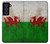 S2976 Wales Football Soccer Flag Case For Samsung Galaxy S21 FE 5G