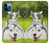 S3795 Grumpy Kitten Cat Playful Siberian Husky Dog Paint Case For iPhone 12 Pro Max