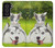 S3795 Grumpy Kitten Cat Playful Siberian Husky Dog Paint Case For Samsung Galaxy S21 FE 5G