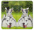 S3795 Grumpy Kitten Cat Playful Siberian Husky Dog Paint Case For Google Pixel XL