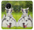 S3795 Grumpy Kitten Cat Playful Siberian Husky Dog Paint Case For OnePlus 7T