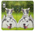 S3795 Grumpy Kitten Cat Playful Siberian Husky Dog Paint Case For Sony Xperia XZ