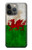 S2976 Wales Football Soccer Flag Case For iPhone 13 Pro Max