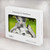 S3795 Grumpy Kitten Cat Playful Siberian Husky Dog Paint Hard Case For MacBook Air 13″ - A1369, A1466