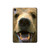 S0840 Grizzly Bear Face Hard Case For iPad mini 6 7, iPad mini (2021,2024)