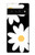 S2315 Daisy White Flowers Case For Google Pixel 6 Pro