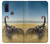 S0150 Desert Scorpion Case For Motorola G Pure