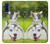 S3795 Grumpy Kitten Cat Playful Siberian Husky Dog Paint Case For Motorola G Pure