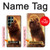 S1957 Lion Aslan Case For Samsung Galaxy S22 Ultra