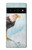 S3843 Bald Eagle On Ice Case For Google Pixel 6 Pro