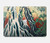 S2491 Hokusai Kirifuri Waterfall at Kurokami Hard Case For MacBook Pro 14 M1-M5 A2442,A2779,A2992,A2918,A3112,A3185,A3401,A3434,A3112